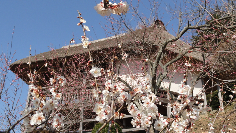 img0018.jpg