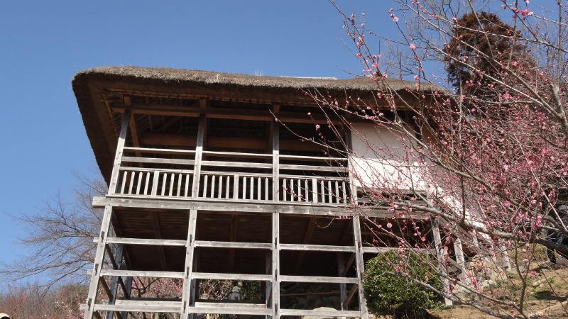 img0019.jpg