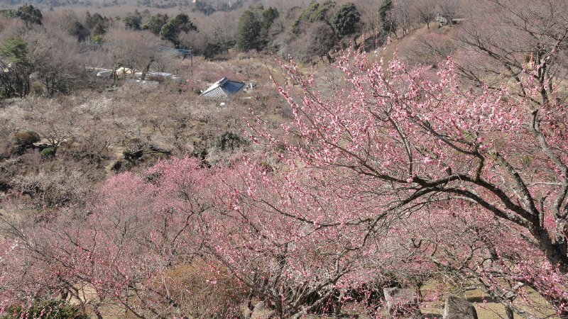 img0023.jpg