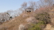 img0007.jpg