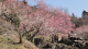 img0010.jpg