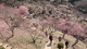 img0024.jpg