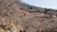 img0025.jpg