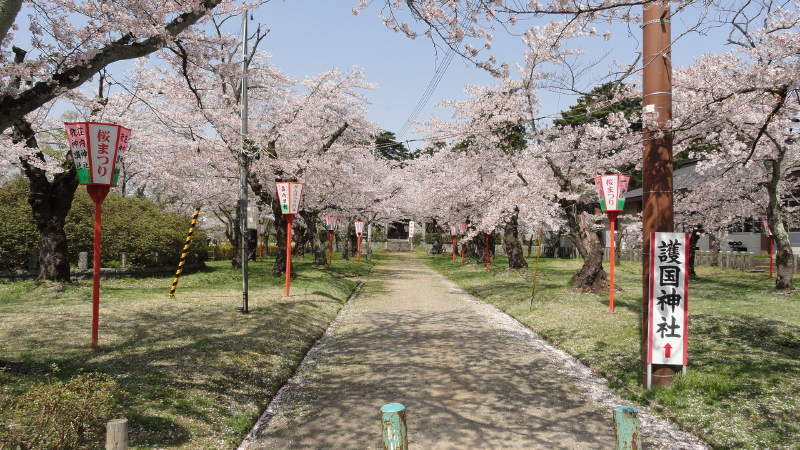 img0003.jpg