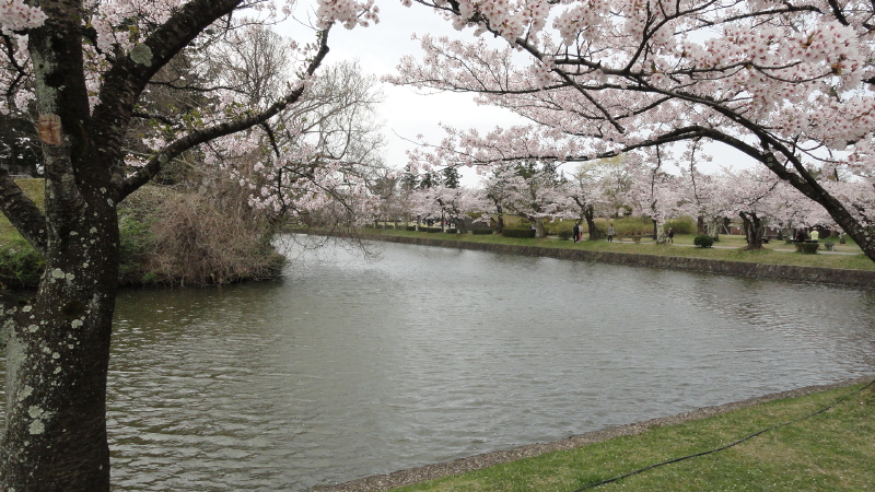 img0007.jpg