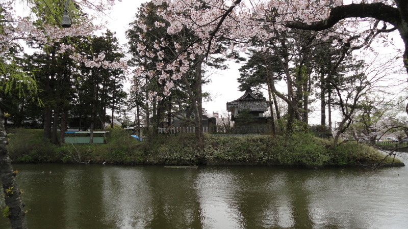 img0010.jpg