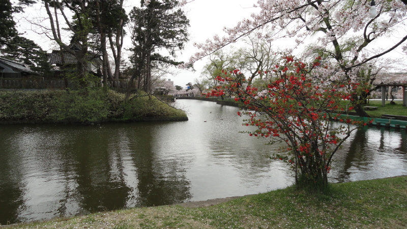 img0011.jpg