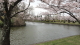 img0007.jpg