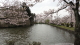 img0008.jpg