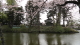 img0010.jpg
