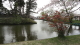 img0011.jpg