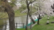 img0013.jpg