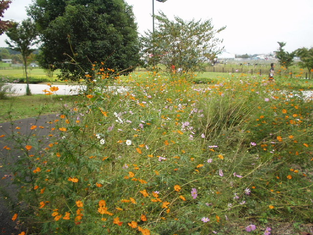 img0001.jpg