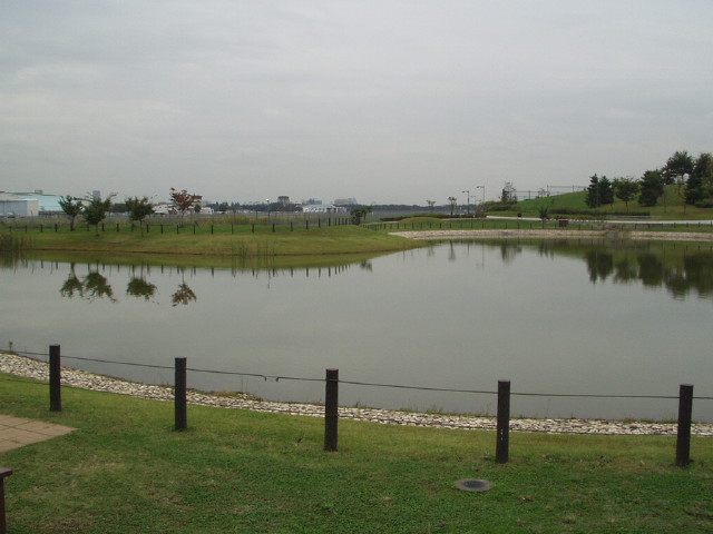 img0002.jpg