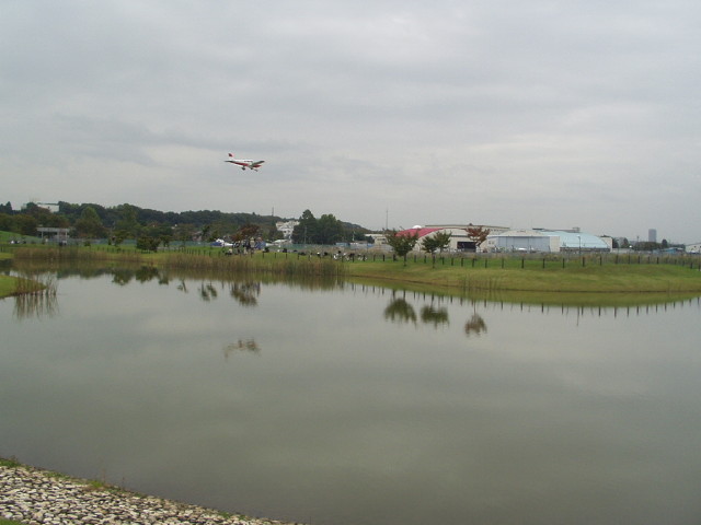 img0003.jpg