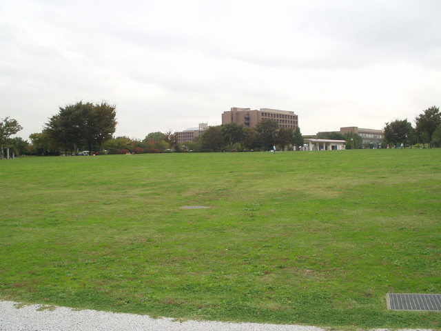 img0004.jpg