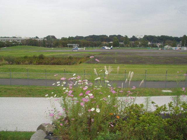 img0007.jpg