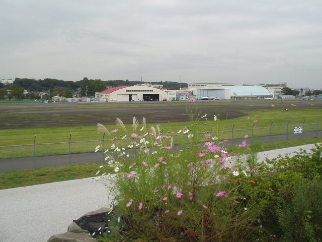 img0008.jpg