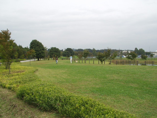 img0013.jpg