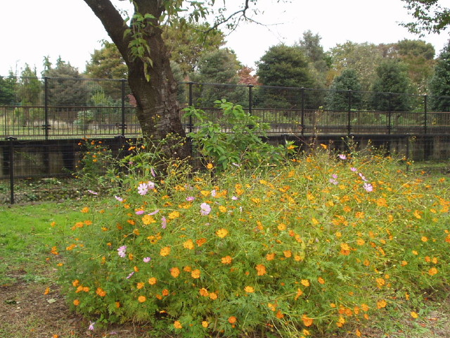 img0014.jpg