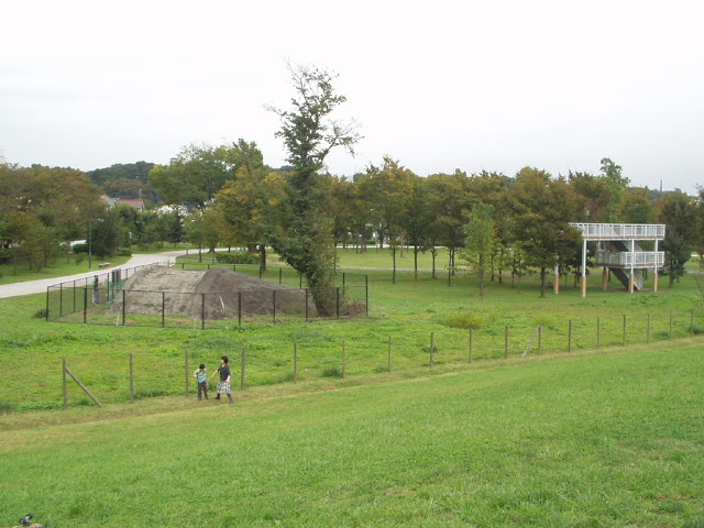 img0017.jpg