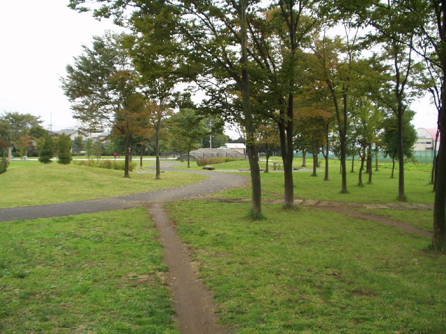 img0020.jpg