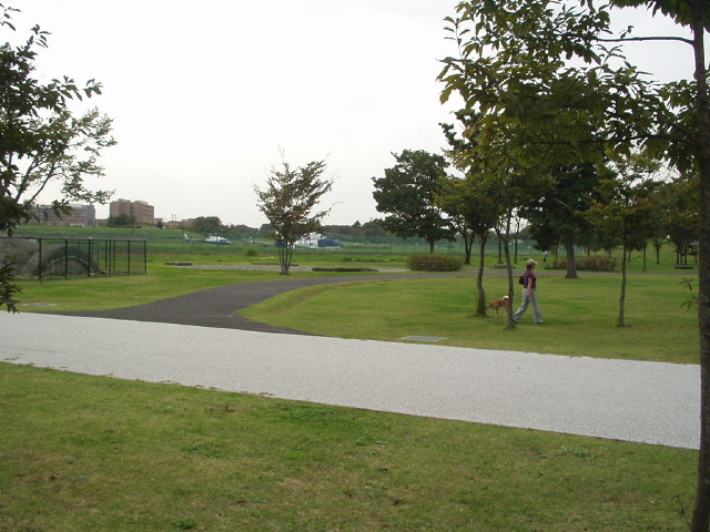 img0030.jpg
