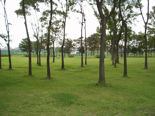 img0031.jpg