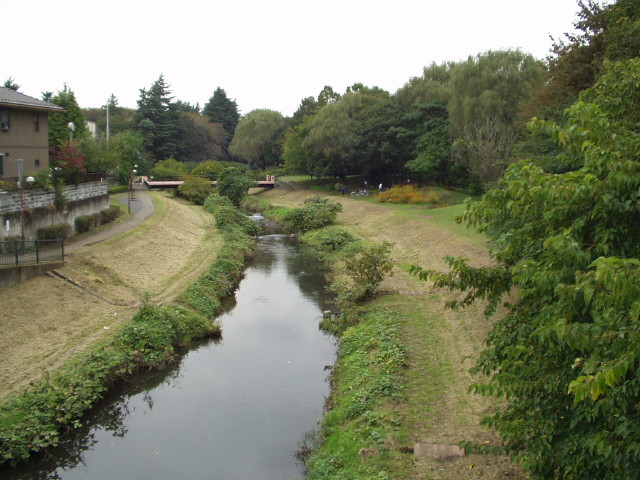 img0035.jpg