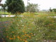 img0001.jpg