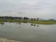 img0003.jpg