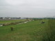 img0010.jpg