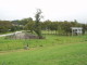 img0017.jpg