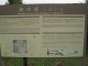 img0019.jpg