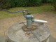 img0029.jpg