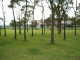 img0031.jpg