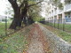 img0034.jpg