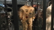 img0037.jpg