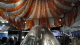 img0106.jpg