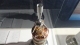 img0141.jpg