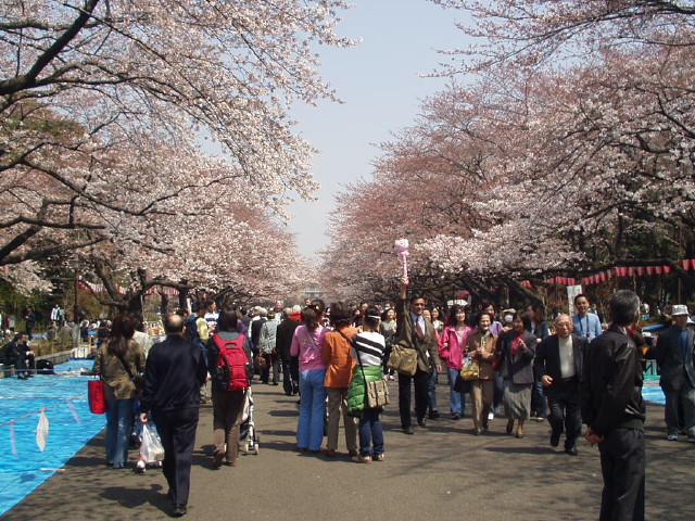 img0004.jpg