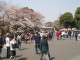 img0001.jpg
