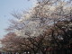 img0003.jpg
