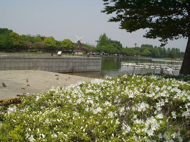img0002.jpg