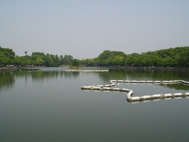 img0004.jpg