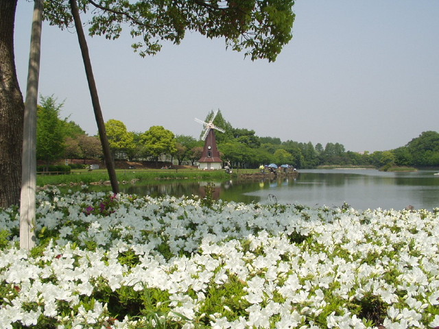 img0005.jpg