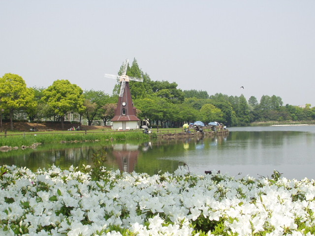 img0006.jpg