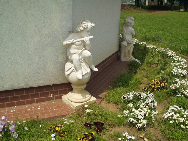 img0010.jpg