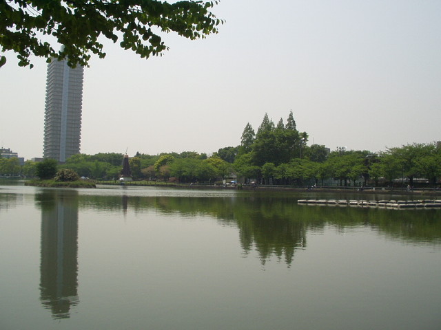 img0013.jpg