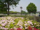 img0001.jpg